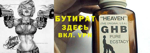 гидра Богородск