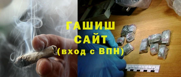 гидра Богородск