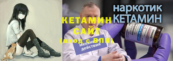 стаф Богданович