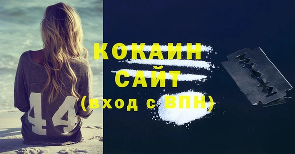 стаф Богданович