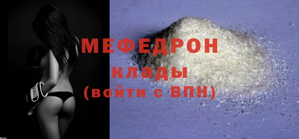 стаф Богданович