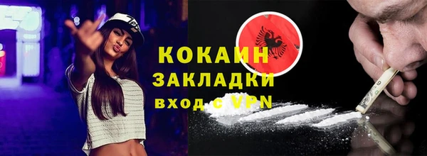 стаф Богданович