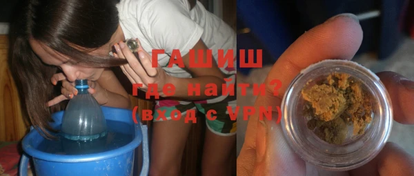 гидра Богородск