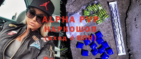 гидра Богородск