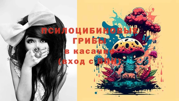 гидра Богородск