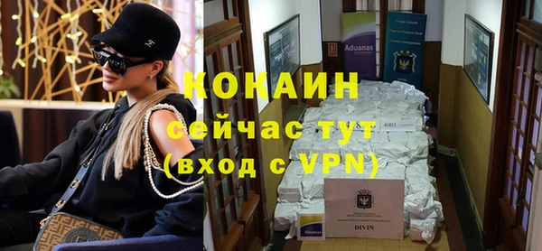 стаф Богданович