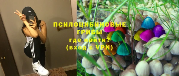прущая мука Богородицк