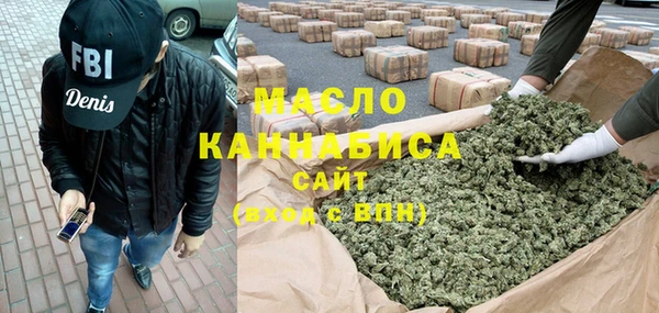 гидра Богородск