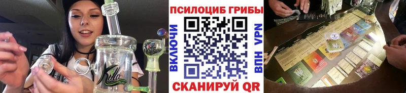 Галлюциногенные грибы Psilocybine cubensis  Кола 